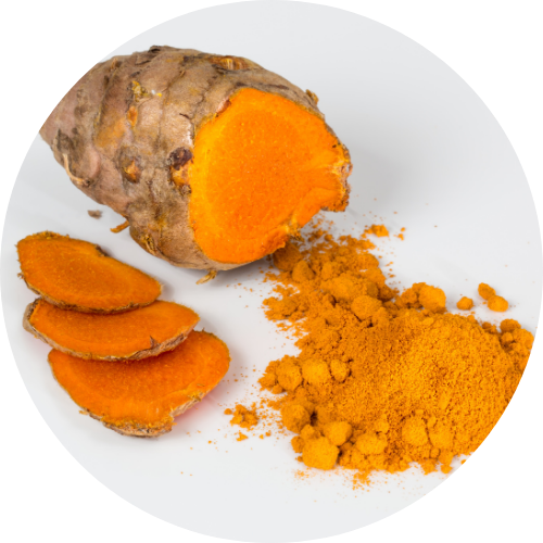 Cúrcuma (Turmeric Root Extract)