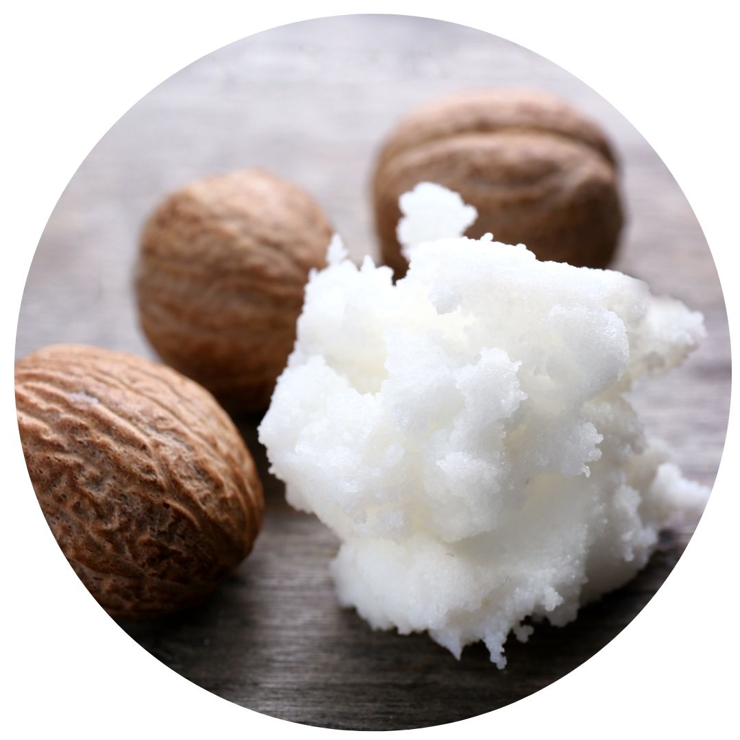 Manteca de karité (Butyrospermum Parkii Butter)